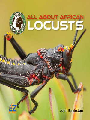 cover image of All About African Locusts